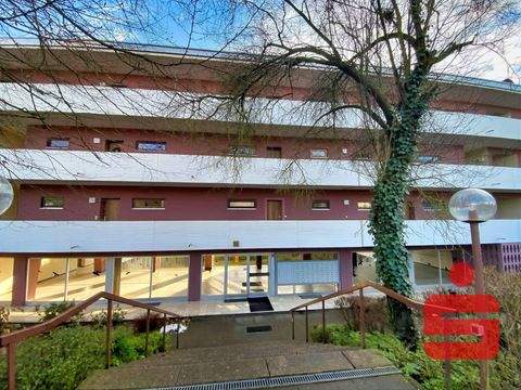 Höchberg Wohnungen, Höchberg Wohnung kaufen