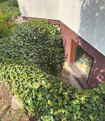 Lichtgraben für Hobbyraum Keller