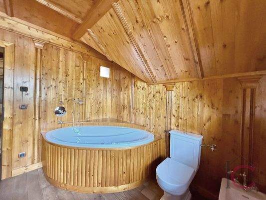 Villa Bad Kleinkirchheim (81)