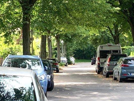 Blick zum Heinrich-Laehr-Park.jpeg