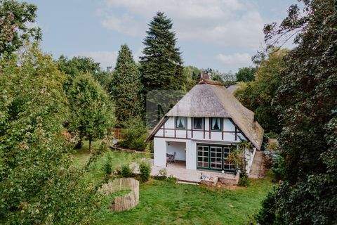 Neetze Häuser, Neetze Haus kaufen