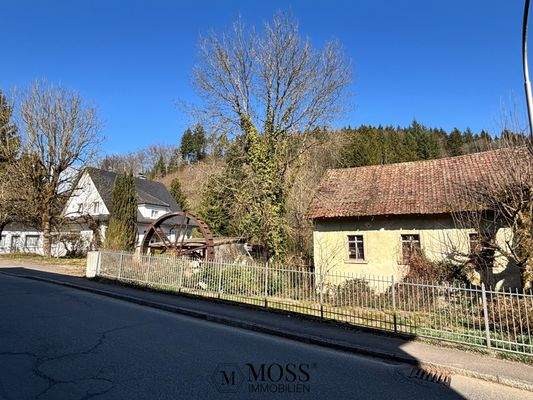 alles zusammen oder nur die Mühle?