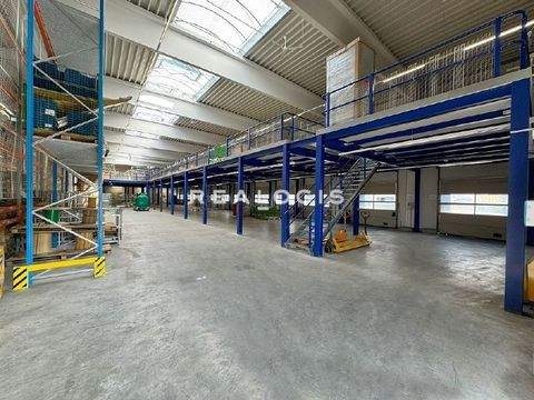 Raubling Halle, Raubling Hallenfläche