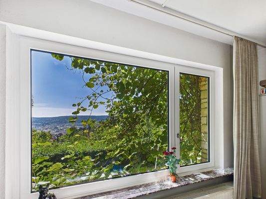 Aussicht Praxisraum ca. 32 m²