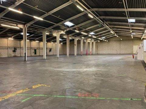 Dortmund Halle, Dortmund Hallenfläche