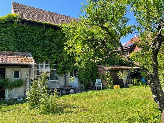 PHOTO-2025-09-02-05-55-17 (00F).jpg