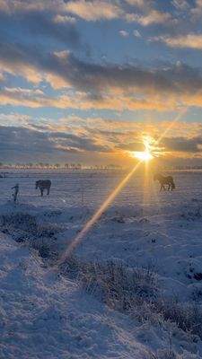 Winter in Nordfriesland