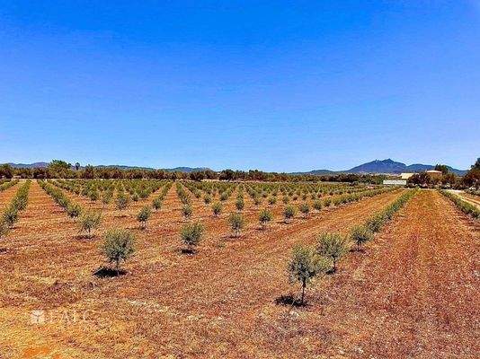 95b6f48c-2a19-41a8-b833-056708435f3e