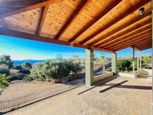 9975a50ed86b4b76891bdcf57917d613-original