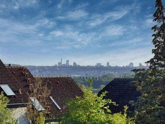 Hauptwohnung - Skylineblick 1