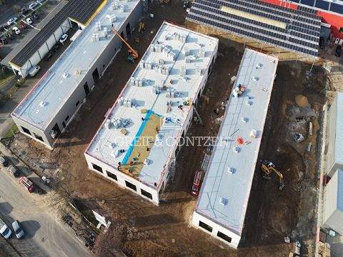 Hürth Halle, Hürth Hallenfläche