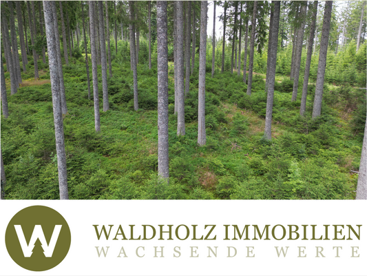 Deckbatt Kleinanzeigen.png