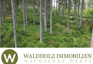 Deckbatt Kleinanzeigen.png