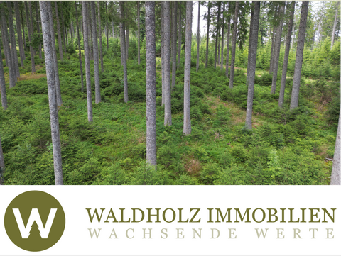 Vöhrenbach Bauernhöfe, Landwirtschaft, Vöhrenbach Forstwirtschaft