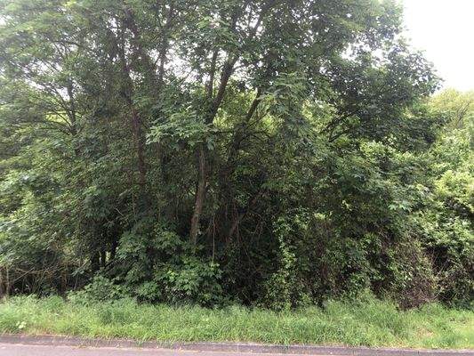 Blick von der Straßenseite