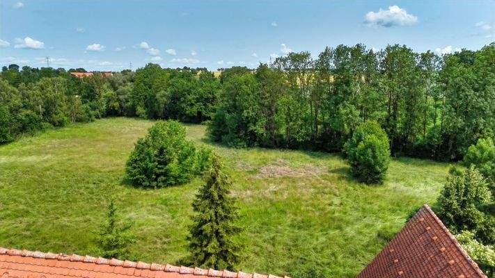 Blick auf die Koppel