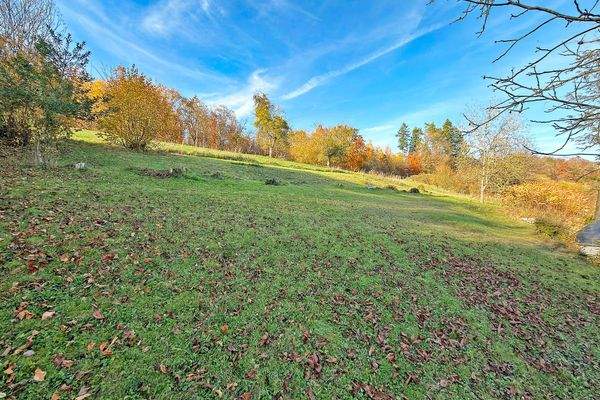 große Gartenfläche hinter den Gebäuden