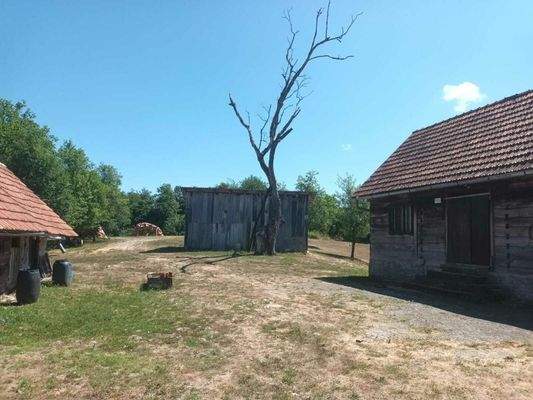 WhatsApp Image 2025-07-01 at 08.25.10 (2)