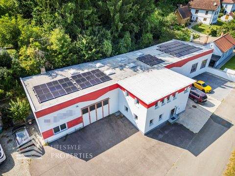 Thunau am Kamp Halle, Thunau am Kamp Hallenfläche