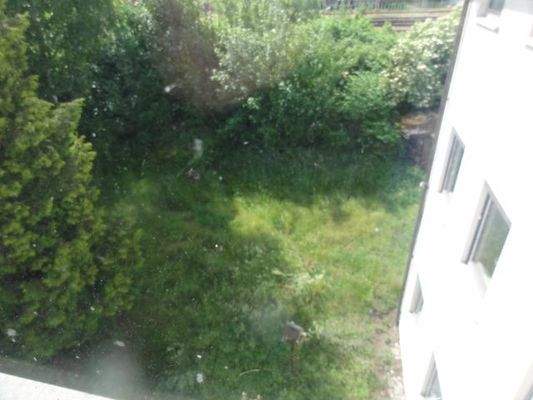 DG-Blick in Garten.JPG