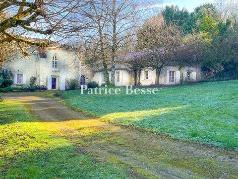 Naintré Häuser, Naintré Haus kaufen