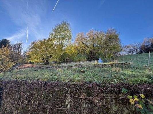 rückwärtiger Garten 