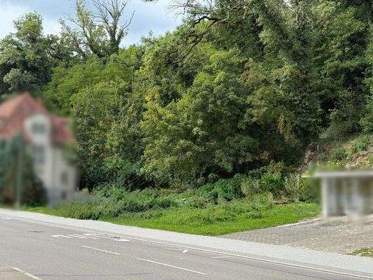 Seitenansicht rechts 1