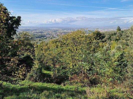 96LAzienda_ agricola_Toskana.jpg