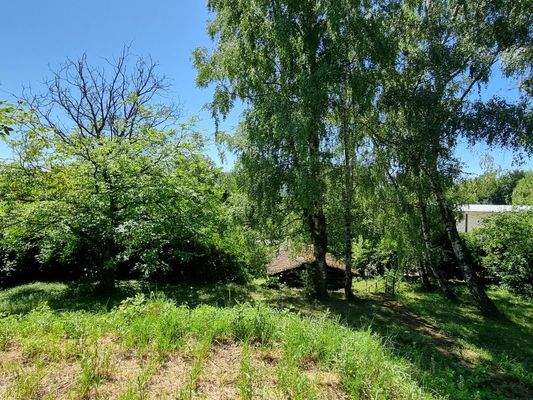 Blick von der Terrasse