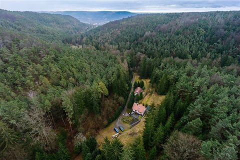 Jena Häuser, Jena Haus kaufen