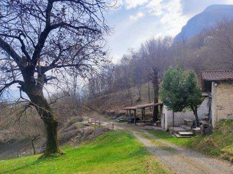 Grandola ed Uniti Häuser, Grandola ed Uniti Haus kaufen