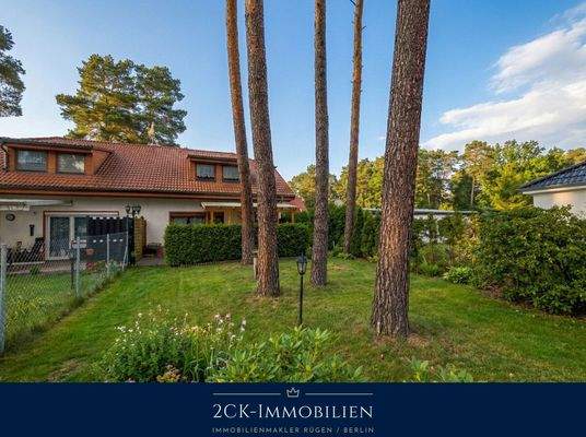 Grundstück Ostansicht 2