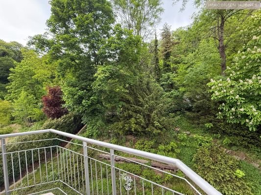 Hintere Terrasse mit Waldblick