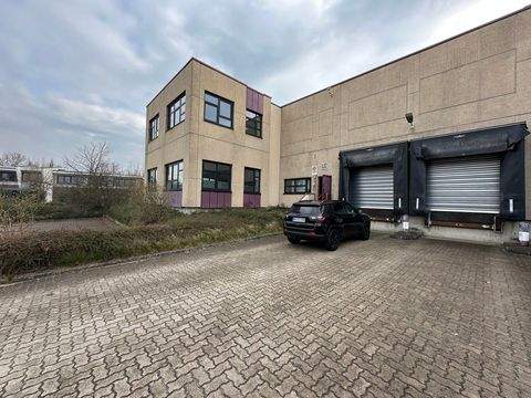 Stelle Halle, Stelle Hallenfläche