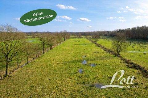 Apen / Bokelermoor Bauernhöfe, Landwirtschaft, Apen / Bokelermoor Forstwirtschaft