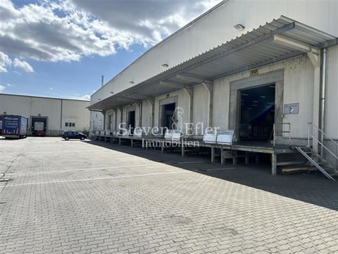 Strullendorf Halle, Strullendorf Hallenfläche