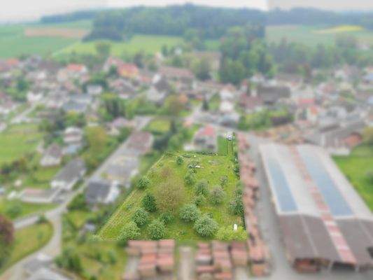 250511_Grundstück Königseggwald-2 Kopie