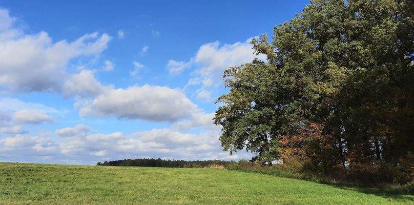 Herbst in Oberreichenbach