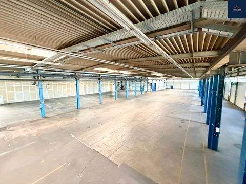 Markgröningen Halle, Markgröningen Hallenfläche