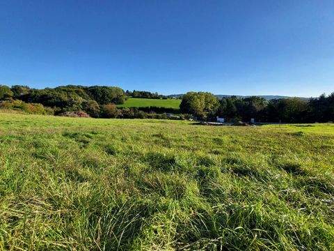 Neulengbach Grundstücke, Neulengbach Grundstück kaufen