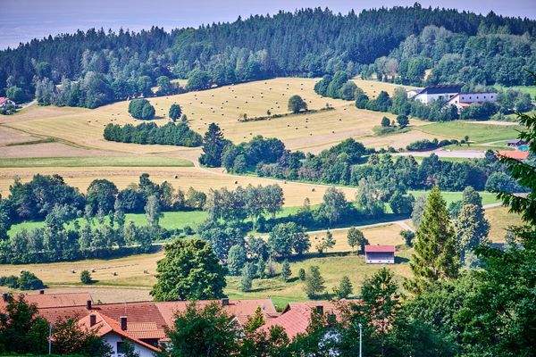 Wohnung in traumhafter Landschaft