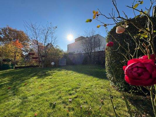 Blick in den Garten