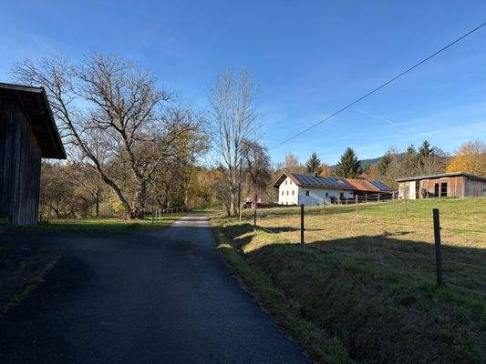 2025-11-05 13.35.36.jpg