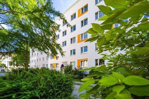 Dresden Wohnungen, Dresden Wohnung mieten