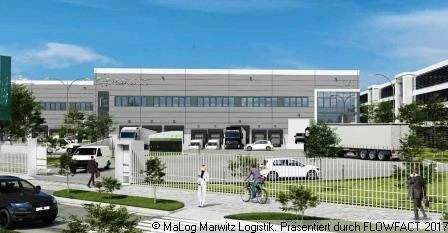 Berlin Halle, Berlin Hallenfläche