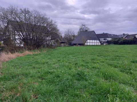 Odenthal Bauernhöfe, Landwirtschaft, Odenthal Forstwirtschaft