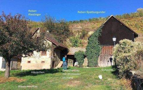 Vogtsburg im Kaiserstuhl Häuser, Vogtsburg im Kaiserstuhl Haus kaufen