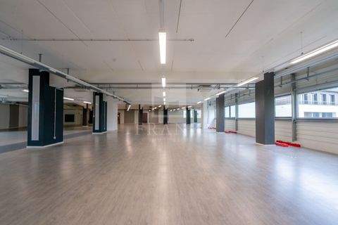 München Halle, München Hallenfläche