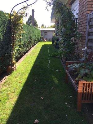 WhatsApp Bild 2025-09-18 um 10.34.29_f6cc1a39.jpg