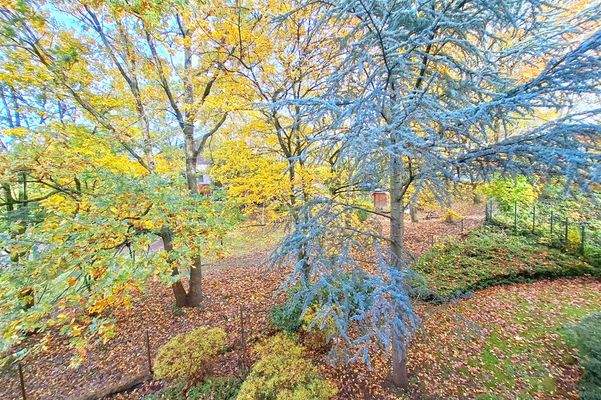 Blick aus dem Schlafzimmer